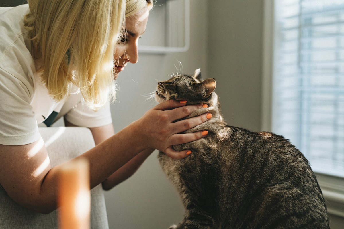 Pet Hygiene & Prophylaxis